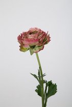 Ranonkel (groot) - zijden bloem - kunstbloem 1 stuk - roze met groen - topkwaliteit - 49cm