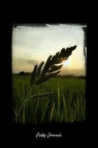 Paddy Journal