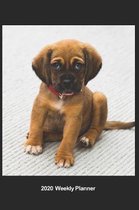 Plan On It 2020 Weekly Calendar Planner - You Know You Want To Take Me Home - Cute Puppy