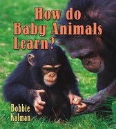 How Do Baby Animals Learn