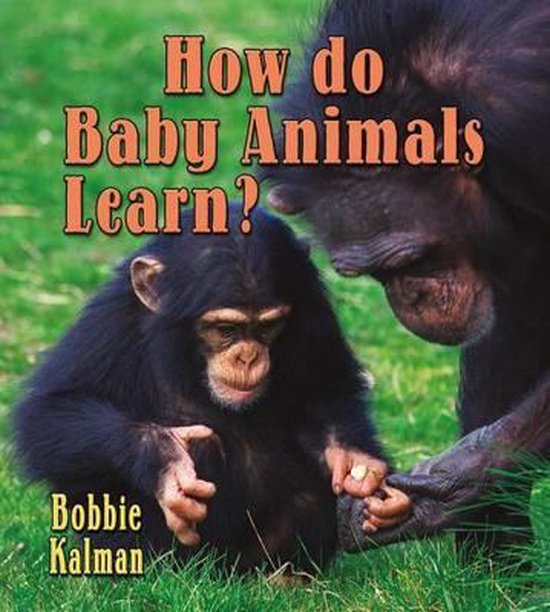 How Do Baby Animals Learn? 9780778740827 Bobbie Kalman Boeken bol