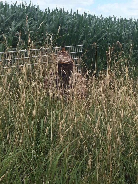 Leafy Ghillie Suit Dry Grass/Corn Airsoft Paintball Maat SL