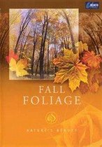 Nature's Beauty - Fall Foliage