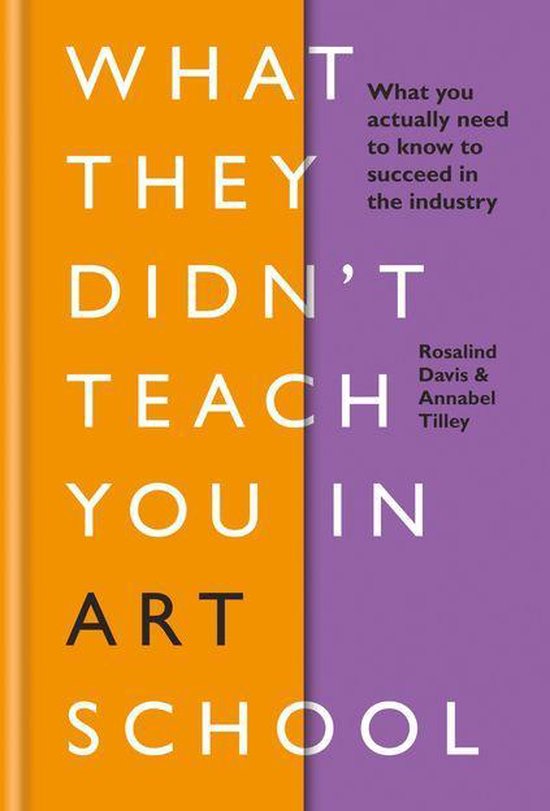 What They Didn T Teach You In Art School Ebook Rosalind Davis 9781781574102 Boeken