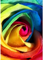Wizardi Diamond Painting Rainbow Rose WD023