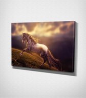 Horse Canvas | 30x40 cm