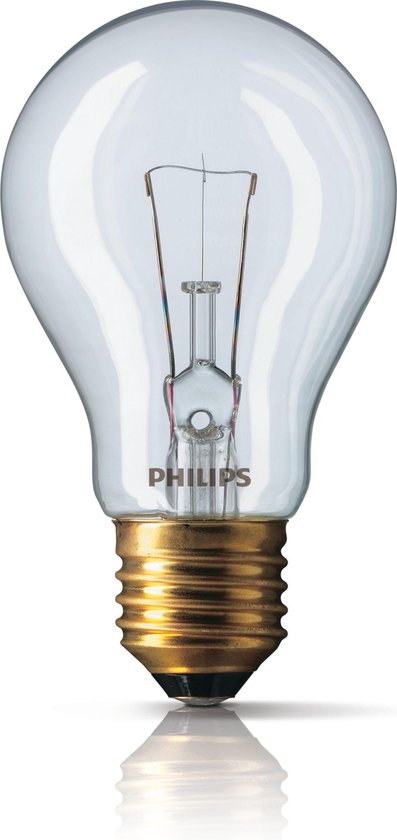 Philips Incandescent 60 W E27 Low voltage Incandescent bulb | bol.com