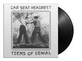 Teens Of Denial (LP)