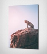Leopard Canvas | 80x120 cm