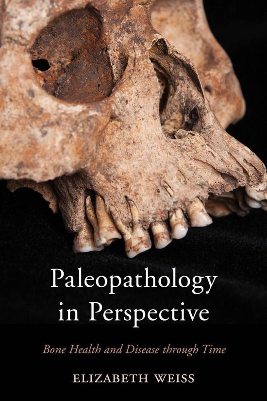 Paleopathology in Perspective - cover