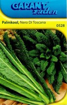 Palmkool Nero Di Toscana