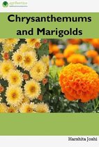 Chrysanthemum and Marigold