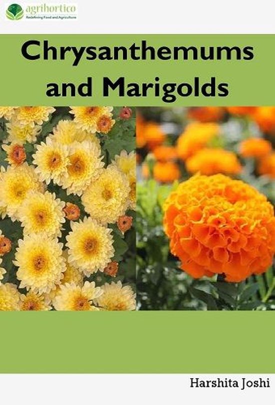 Chrysanthemum and Marigold - cover