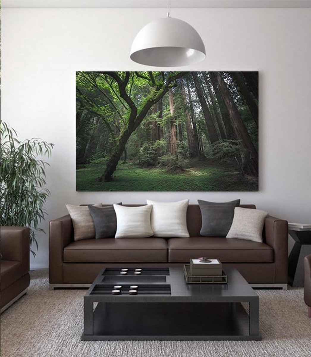 Green Light Canvas 30 x 40 cm