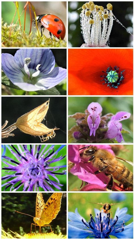 Wenskaarten met krachtige en inspirerende natuurfoto's