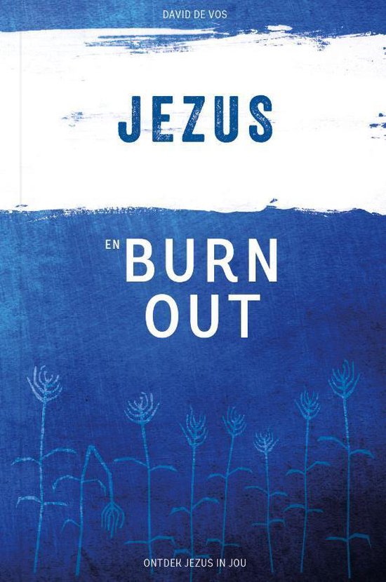 david-de-vos-jezus-en-burn-out