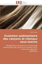 Evolution sedimentaire des canyons et chenaux sous-marins