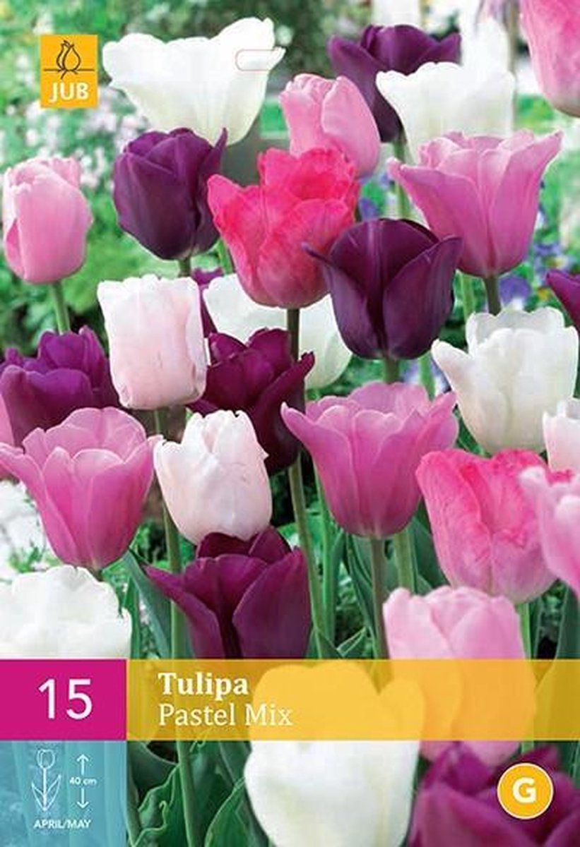 Jub Holland - bloembollen - Tulpen Pastel Mix - maat 11/12 - 15 stuks