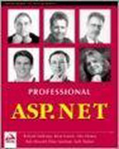 Professional Asp.Net