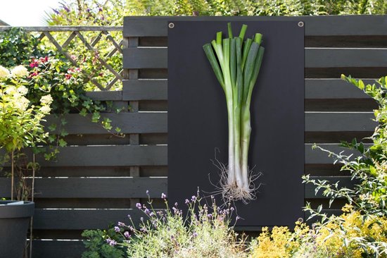 Le fameux oignon de printemps sur fond sombre Affiche de jardin 120x180 cm - Toile de jardin / Toile d'extérieur / Peintures d'extérieur (décoration de jardin) XXL / Groot format!