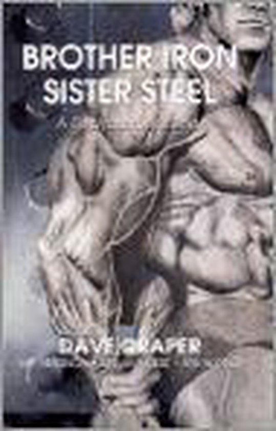 Brother Iron, Sister Steel - cover