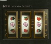 James-i Know What I'm Here For -cds-