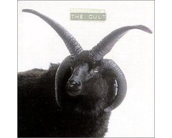 Cult