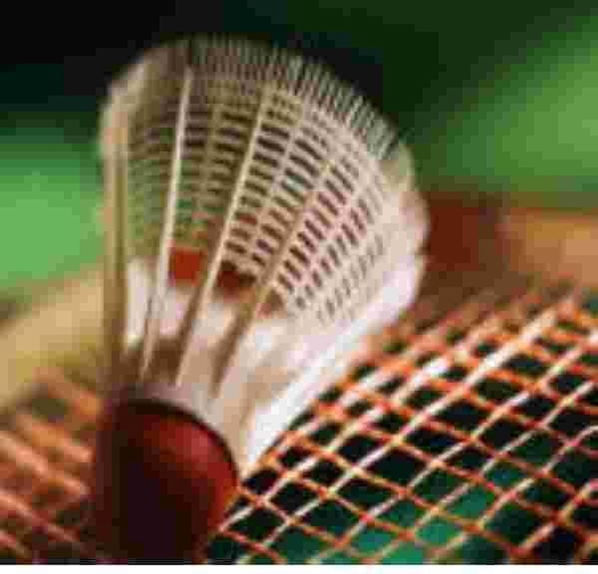 Badminton Muismat