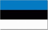 Vlag Estland 90 x 150 cm feestartikelen - Estland landen thema supporter/fan decoratie artikelen