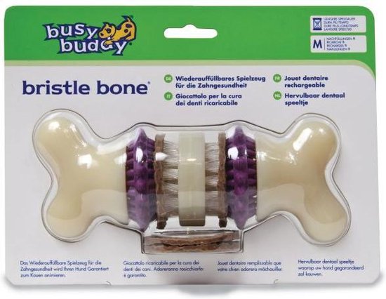 Busy Buddy Bristle Bone (Medium)