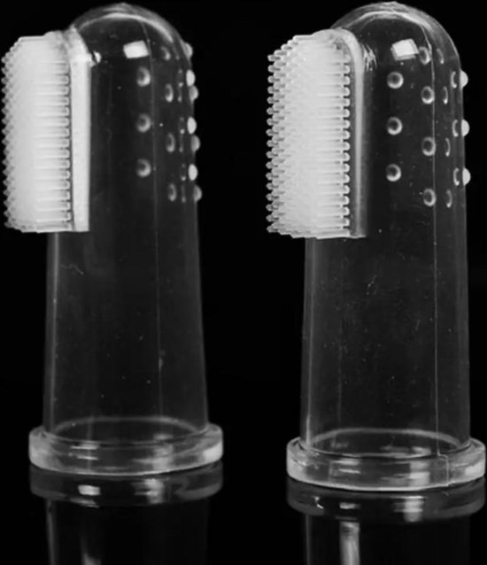 Brosse A Dents Pour Animaux De Compagnie De Versteeg Brosse A Doigts Brosse A Dents Bol Com