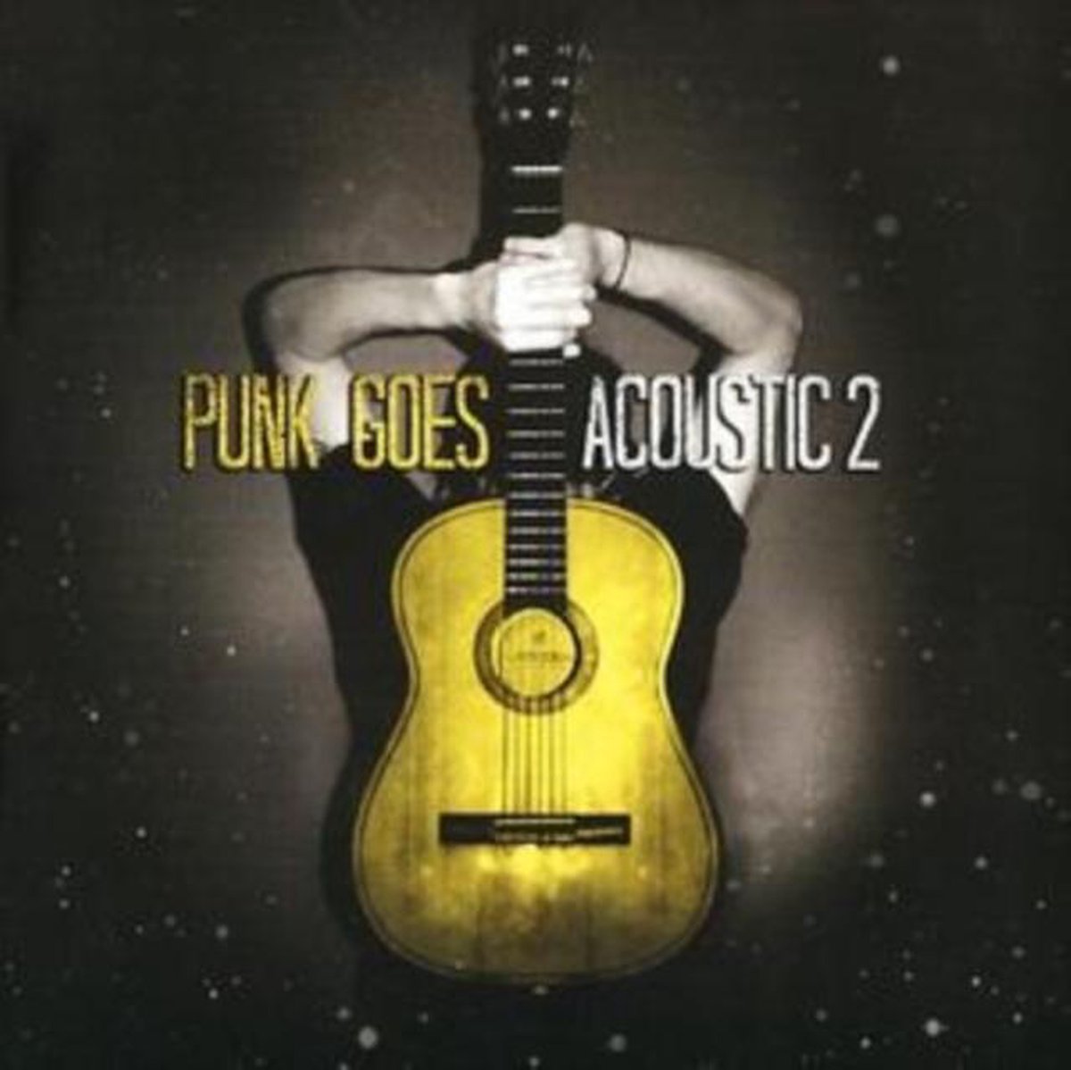 Punk Goes Acoustic, Vol. 2