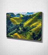 Mu Cang Chai In Vietnam Canvas - 30 x 40 cm