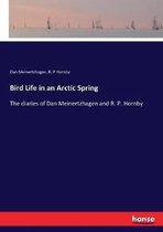 Bird Life in an Arctic Spring