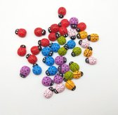 Houten lieveheersbeestjes | knutselen | diy | decoratie | 100 stuks | multicolour