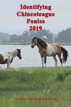 Identifying Chincoteague Ponies 2019