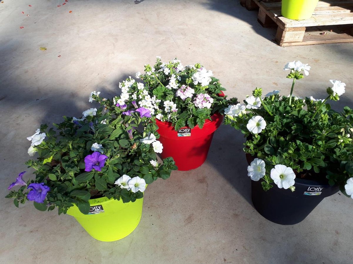 Heos Pot De Fleurs Avec Réservoir, Dimensions (Mm) 390 X 390