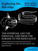 The Hypertail And The Infratail: Axes From The Sublime To The Ridiculous?