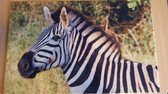 Deurmat 40x60 Zebra
