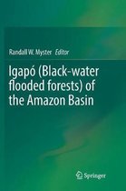 Igapo (Black-water flooded forests) of the Amazon Basin