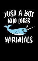 Just A Boy Who Loves Narwhals