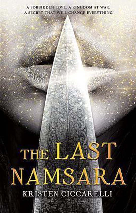 The Last Namsara - cover
