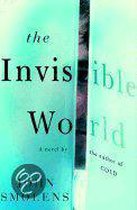 The Invisible World