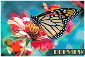 DP® Diamond Painting pakket volwassenen - Afbeelding: Vlinder felle kleuren - 40 x 60 cm volledige bedekking, vierkante steentjes - 100% Nederlandse productie! - Cat.: Dieren - Vlinders & ins