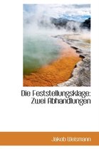 Die Feststellungsklage