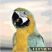 DP® Diamond Painting pakket volwassenen - Afbeelding: Papegaai 01 - 60 x 60 cm volledige bedekking, vierkante steentjes - 100% Nederlandse productie! - Cat.: Dieren - Vogels