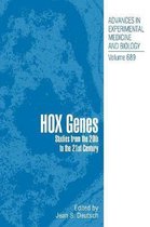 Hox Genes