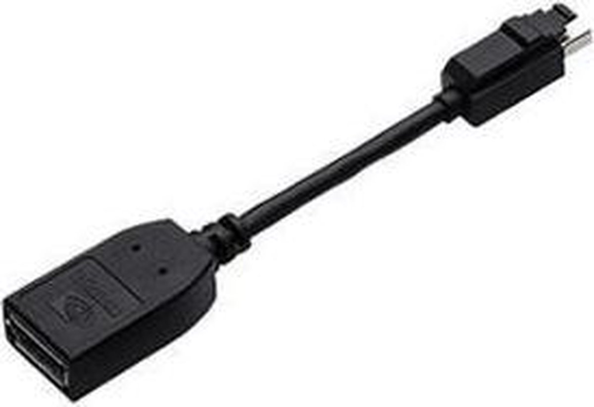 PNY Mini DisplayPort/DisplayPort Zwart