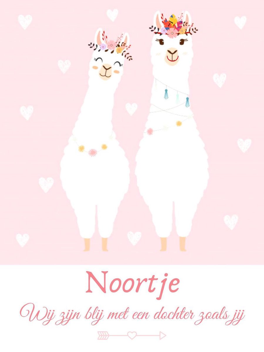 Gepersonaliseerde poster babykamer of kinderkamer, poster met naam van kind, gepersonaliseerd kraamcadeau. Inclusief fotolijst ! 30x42 cm (A3). Lama's