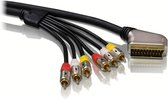 Philips Scart-kabel SWV5545/10